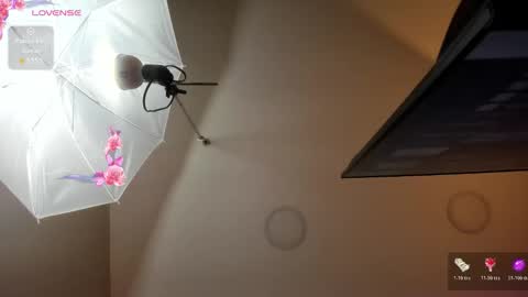 adara_carter_ online show from March 2026 03:34:01 AM