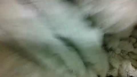 adelealy online show from July 2026 01:26:01 AM