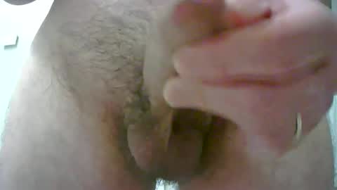 adi2019 online show from November 2025 04:51:01 PM