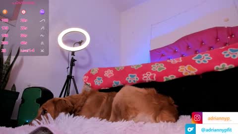 adrianny online show from September 2025 01:18:01 AM