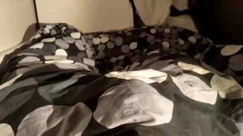 Snapshot of adrisex2002 chatting on December 2024 08:58:02 AM adrisex2002 online show from December 2024 08:58:02 AM