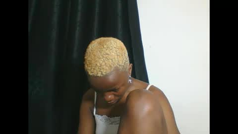 PHOEBE online show from October 2025 11:42:02 AM