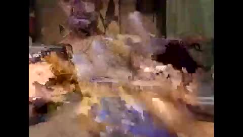 aftermathr3 online show from May 2026 05:37:02 AM