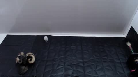  Miss Agata  online show from January 2026 07:38:02 PM