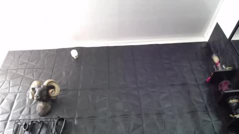 Snapshot of agata_darkness chatting on May 2026 03:29:02 PM Miss Agata online show from May 2026 03:29:02 PM