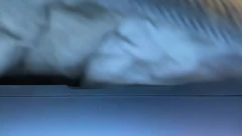 Agent Action Jackson online show from January 2025 04:34:01 AM