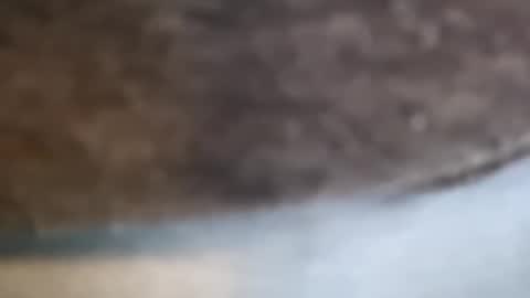 Snapshot of aj297914 chatting on February 2026 03:14:02 AM aj297914 online show from February 2026 03:14:02 AM