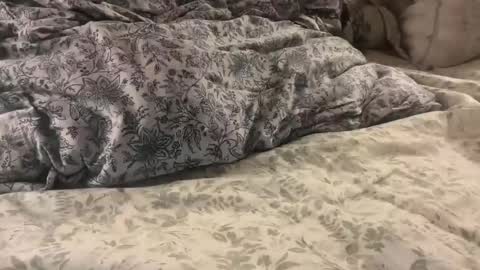 aj86cam online show from January 2026 02:02:02 AM