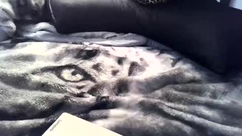 aken4it online show from April 2026 11:35:01 PM