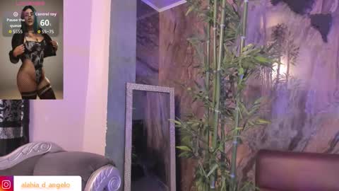 ALAHIA online show from November 2025 06:01:01 AM