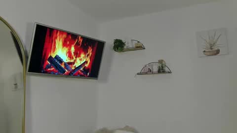   online show from June 2026 10:39:01 AM