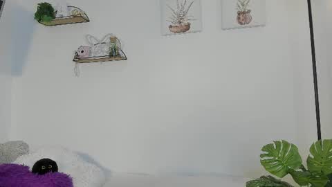   online show from June 2026 10:47:02 AM