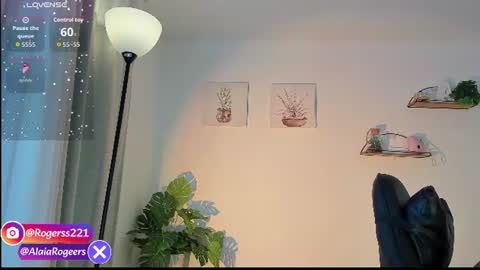   online show from July 2026 11:41:01 AM