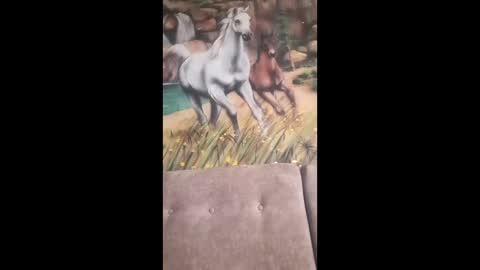 Snapshot of albina6543 chatting on February 2026 09:49:02 AM albina online show from February 2026 09:49:02 AM