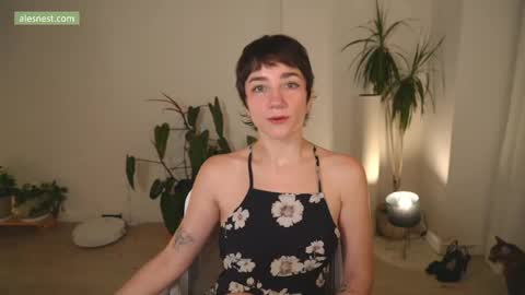 Ale online show from April 2026 11:46:02 PM