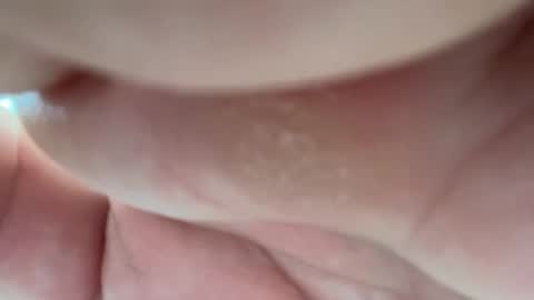 Alessandrobuilder online show from April 2026 12:11:02 PM