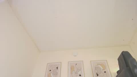 Snapshot of alex4diaz chatting on January 2025 10:11:02 PM Alexa online show from January 2025 10:11:02 PM