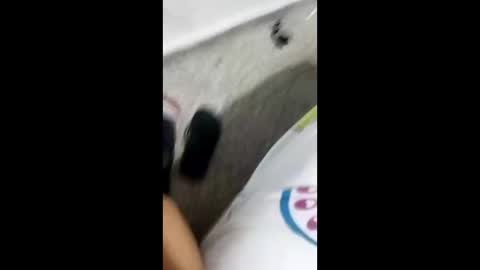 Alexamdergal online show from January 2025 10:31:01 PM