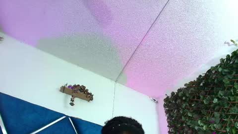 Alexa online show from April 2026 02:22:02 AM