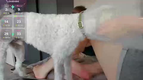 Snapshot of alexiacortez chatting on November 2025 03:23:01 PM Alexia online show from November 2025 03:23:01 PM