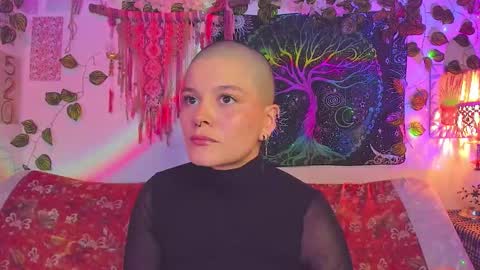 Alex online show from January 2026 02:50:02 AM