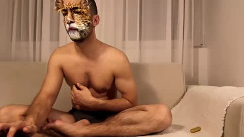 Snapshot of alfadreamer0011 chatting on February 2025 11:31:01 PM alfadreamer0011 online show from February 2025 11:31:01 PM