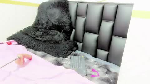 Snapshot of alicee_mature chatting on May 2026 09:45:02 PM alicee online show from May 2026 09:45:02 PM