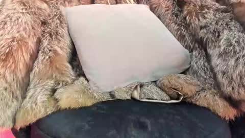 ALICE  online show from November 2025 04:34:02 AM