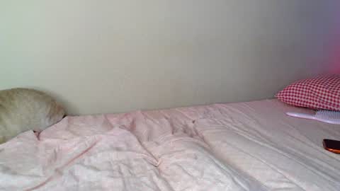 Alice online show from July 2026 03:49:02 PM