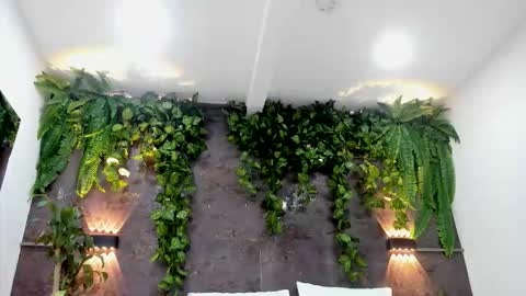 Snapshot of aliice_greco chatting on February 2026 06:17:01 PM Alice online show from February 2026 06:17:01 PM