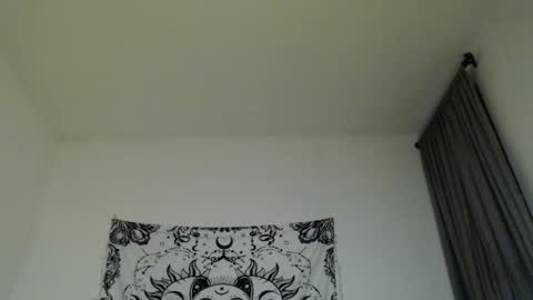 Snapshot of alinawoolf_ chatting on February 2025 05:20:01 AM  Ali  online show from February 2025 05:20:01 AM