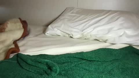 Snapshot of aliroxy28 chatting on October 2025 03:02:01 PM Ali Roxy online show from October 2025 03:02:01 PM