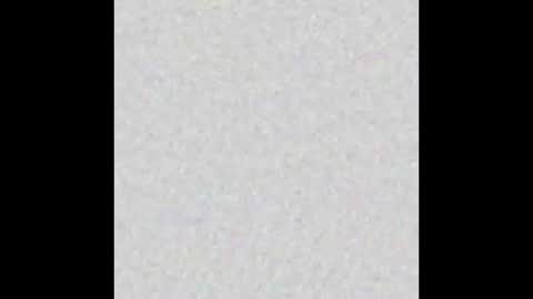 Alisse online show from November 2025 12:05:02 PM