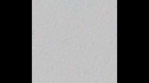 Alisse online show from February 2026 12:08:01 PM