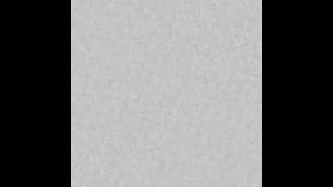 Alisse online show from March 2026 12:10:02 PM