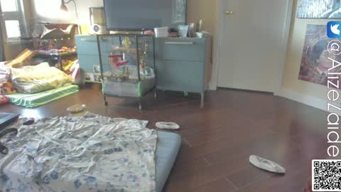 Alize Zaide online show from January 2025 10:04:02 PM