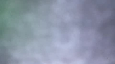 all_most_sane online show from May 2026 04:02:01 PM