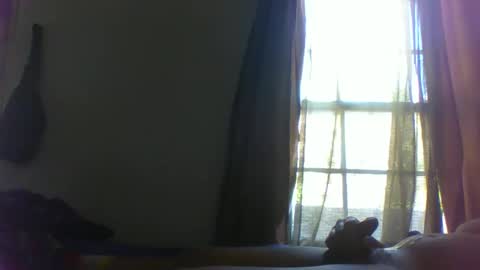 allbermy online show from January 2025 03:37:02 PM