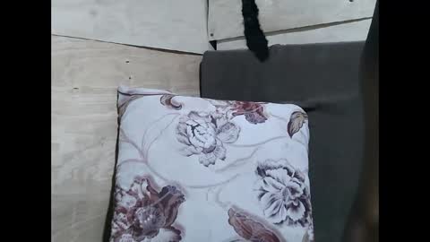 Snapshot of allie_quin chatting on February 2026 11:14:01 AM Allie online show from February 2026 11:14:01 AM