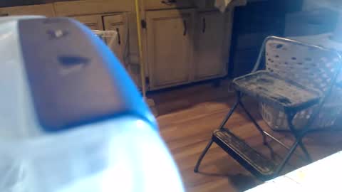 allwolf0323 online show from April 2026 06:03:01 AM