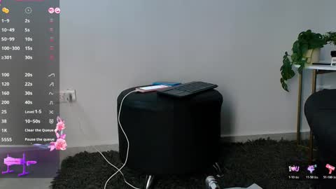 allymdo online show from November 2025 11:43:02 AM