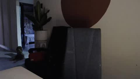 STEPHAN  online show from December 2025 11:27:02 AM