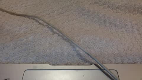 Snapshot of alongwhitedick chatting on March 2025 09:45:02 PM ALongwhitedick online show from March 2025 09:45:02 PM