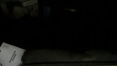 Loooopy online show from February 2025 11:58:02 PM