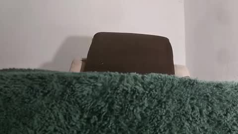 Snapshot of alotofcream chatting on November 2025 05:28:02 AM alotofcream4u online show from November 2025 05:28:02 AM