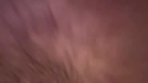 alphazack14 online show from February 2025 03:49:02 PM