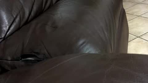 kenzo online show from February 2026 06:58:01 PM