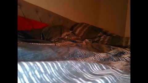 Snapshot of alwaysdownforwhatev chatting on October 2025 04:40:02 AM alwaysdownforwhatev online show from October 2025 04:40:02 AM