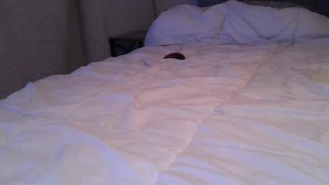 alwaysdownforwhatev online show from July 2026 07:23:02 AM