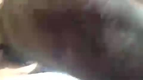 Snapshot of amandapanda1 chatting on July 2026 01:48:01 PM amandapanda1 online show from July 2026 01:48:01 PM